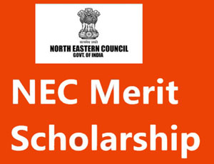 NEC Merit Scholarship