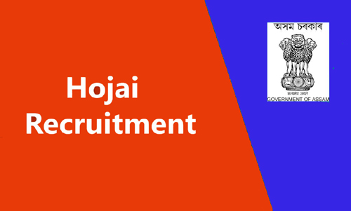 Deputy Commissioner Hojai Recruitment 2022